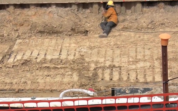 The Living Shoreline at Cherry Point