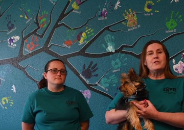 What SARC can do for you