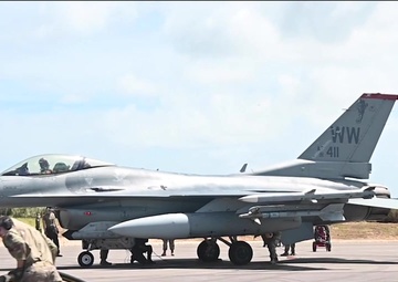 Wild Weasel Mission Video