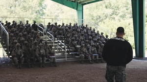 Hotel Company Land Navigation