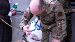 Meet "Auri", the 142nd Wing Therapy Dog