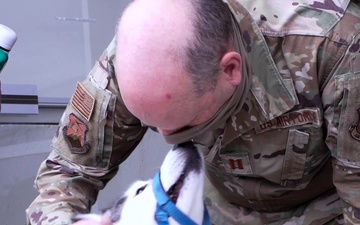 Meet &quot;Auri&quot;, the 142nd Wing Therapy Dog