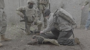 Inaugural K-9 TCCC Multinational Short Course B-Roll, Day 1 (4K V-LOG)
