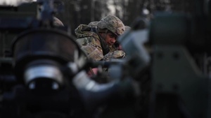 3-82nd conducts air assault operations in Estonia