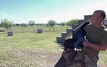 Military Working Dogs in Action