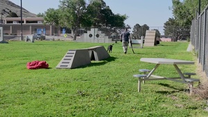 2021 Police Week K-9 Competition B Roll