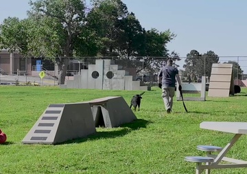 2021 Police Week K-9 Competition B Roll