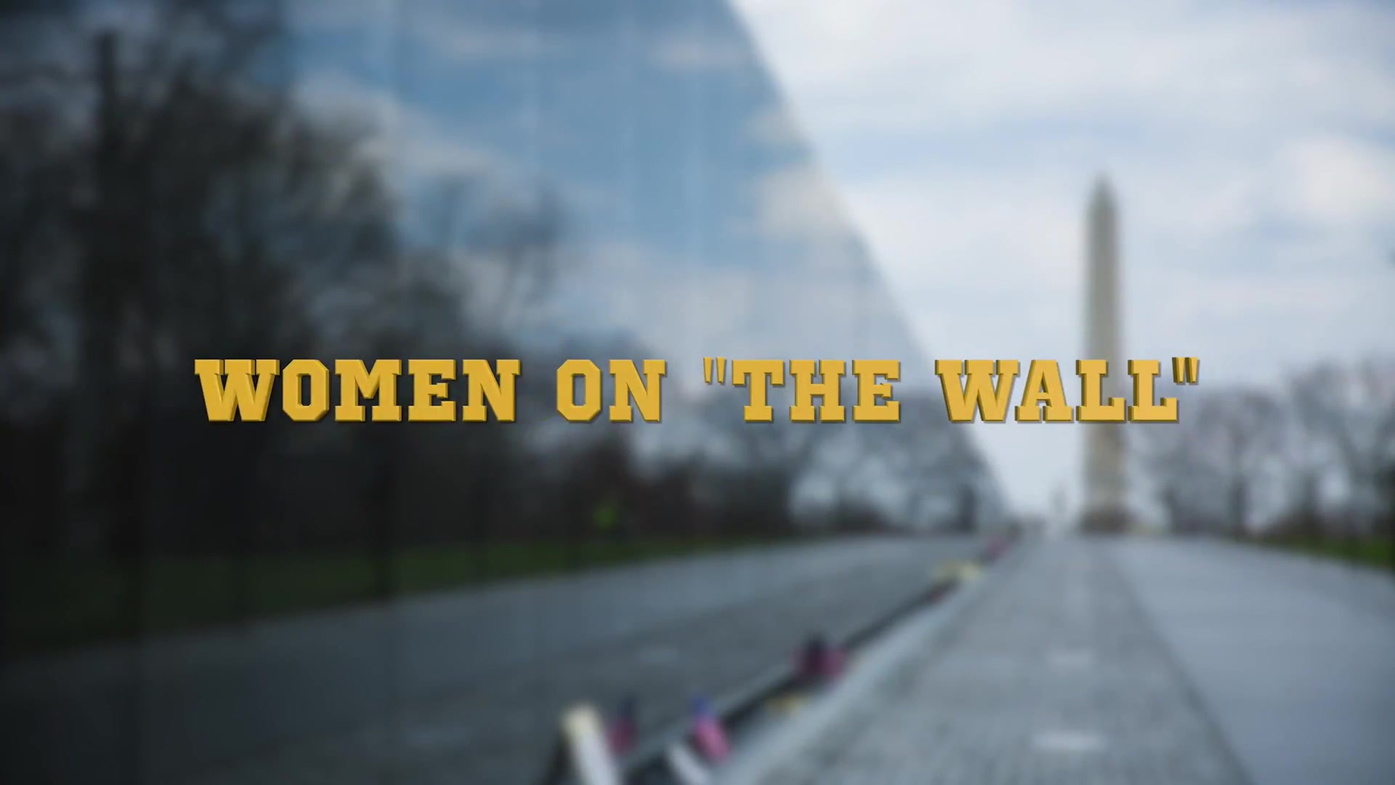 This is a tribute to the eight brave women whose names are inscribed along with their fallen brothers the Vietnam Veterans Memorial in Washington D.C.

Please visit http://www.vietnamwar50th.com​ to learn how you can get involved.

Join the Nation...Thank a Vietnam Veteran!