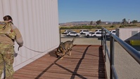 60th Security Forces Squadron partners with California Department of Corrections and Rehabilitation for K-9 joint-training