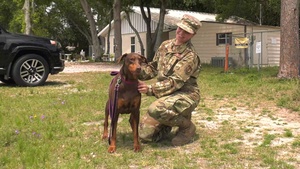 Eglin Pet Welfare Pets of the Month - May 2021
