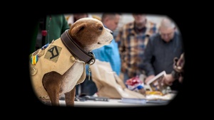 SOAR Education Outreach Program Military Working Dogs