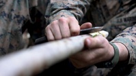 Marines vs. Wild: Students tackle ESLC