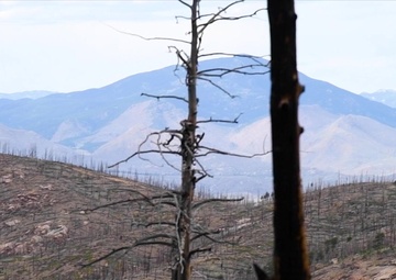 302nd and 153rd Airlift Wing's perform training for annual aerial firefighting
