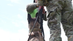 MWD: A Different Breed