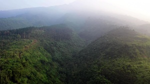 USAF Band of the Pacific celebrates Asian American Pacific Islander Month (Long Version)