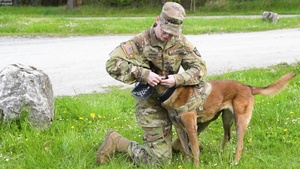 European Military Working Dog Competition