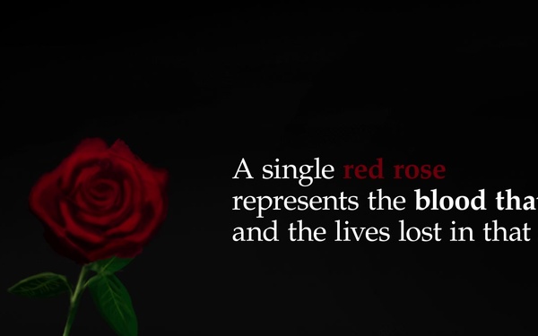 POW-MIA Missing Man Table