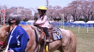 Towada Sakura Yabusame
