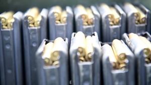 Mobility Guardian 2021: Force on Force Training