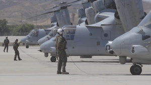 VMM-164 Homecoming