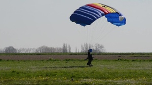 Army belgian paratroopers jumping on Chièvres Air Base
