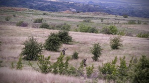 U.S. Armed forces and The Army of the Republic North Macedonia conduct company wide live fire exercise