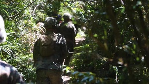 U.S. Marines with BLT 3/4 go through Jungle Warfare Training
