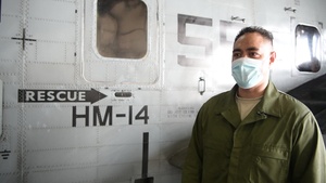 Helicopter Mine Countermeasures Squadron 14