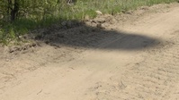 Nebraska National Guard Unit Trains at Camp Ripley