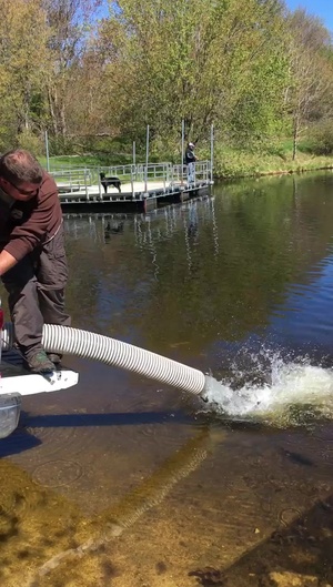 Rainbow trout stocked in Fort McCoy waterway
