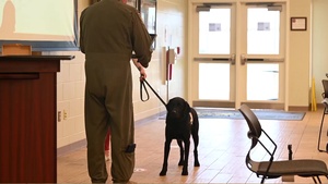 June 2021 Buckeye Guard  Video Newscast