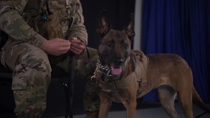 Get a Taste Ep. 6 - Military Working Dogs and Handlers