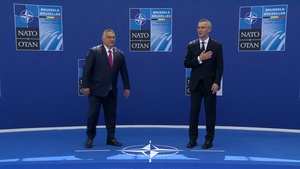 Official greeting by NATO Secretary General at NATO Summit (Netherlands, Estonia, Hungary, Germany, Croatia)