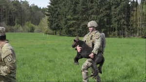 European Military Working Dog Competition
