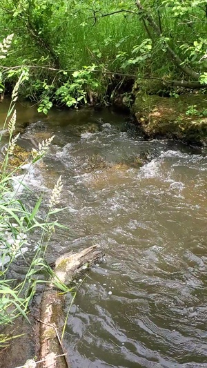 Scenic View of Tarr Creek at Fort McCoy