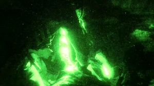 Exercise Raven 21-3