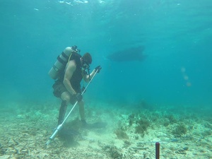 U.S. Marines and Sailors conduct reconnaissance on Ukibaru island