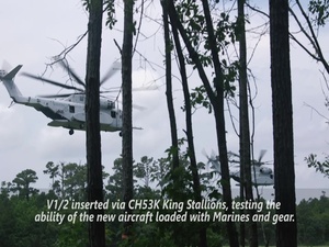 1/2 Air Assault Raid