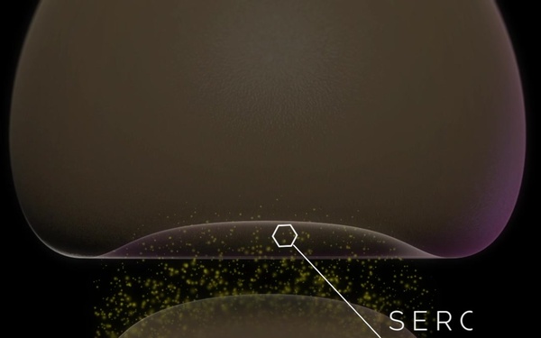 MentalHealth_6305/WEB/REFS/Sc13_MentalHealth_REVISED_24Jul18REF_DVIDS.mp4