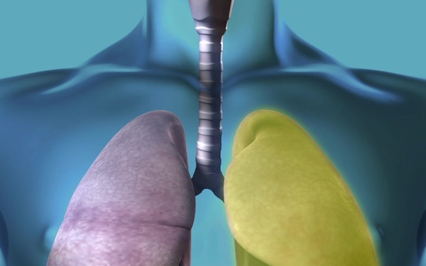 Respiratory_6308/WEB_Exports/REFS/Resp_Sc04_2Aug18_REF_DVIDS.mp4