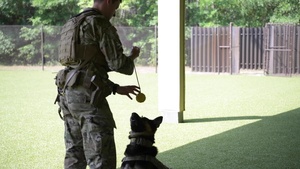 1SOSFS MWD Facility Renovations