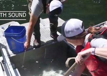 Screw Trap non-narrative