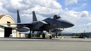 Koku Jieitai (Japan Air-Self Defense Force) AMXS