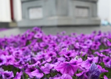 Exercise Sea Breeze 2021 Opening Ceremony