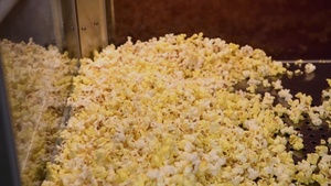 Vicenza Movie Theater Reopening - BROLL