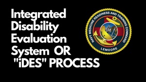 The iDES Process