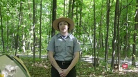Tips to be a happy camper