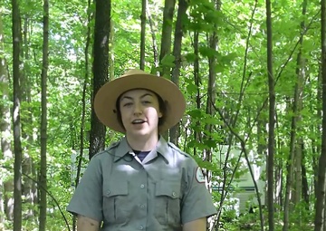 Tips to be a happy camper