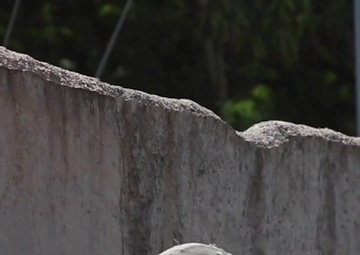 Combat Assault Company Deactivation