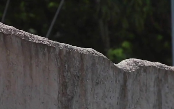 Combat Assault Company Deactivation